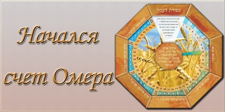 Начался счет Омера