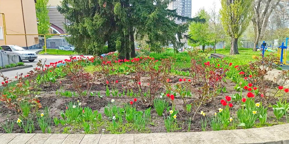 «Весна завітала на шкільне подвір’я»