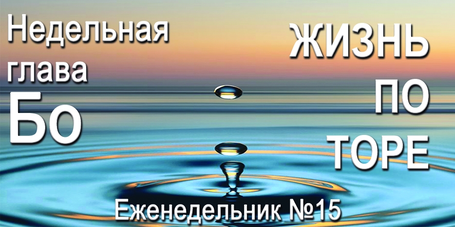 Еженедельник «Жизнь по Торе» для общин «Бней Ноах» в Украине на недельную главу «Бо»
