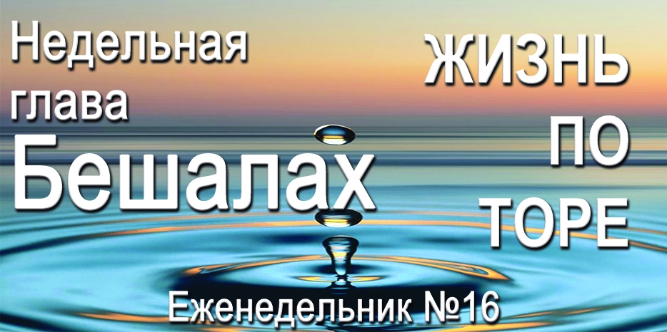 Еженедельник «Жизнь по Торе» для общин «Бней Ноах» в Украине на недельную главу «Бешалах»