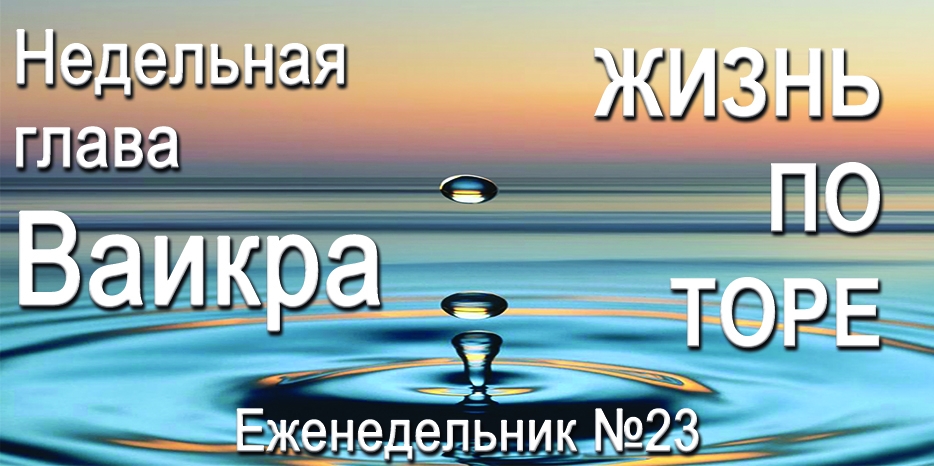 Еженедельник «Жизнь по Торе» для общин «Бней Ноах» в Украине на недельную главу «Ваикра»