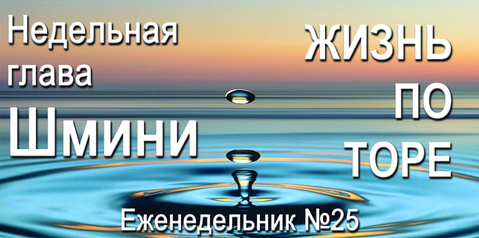 Еженедельник «Жизнь по Торе» для общин «Бней Ноах» в Украине на недельную главу «Шмини»