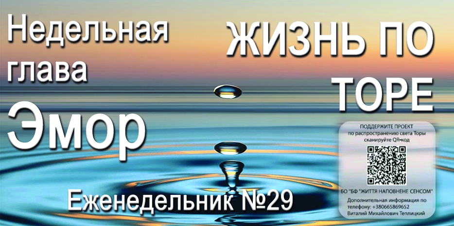 Еженедельник «Жизнь по Торе» для общин «Бней Ноах» в Украине на недельную главу «Эмор»