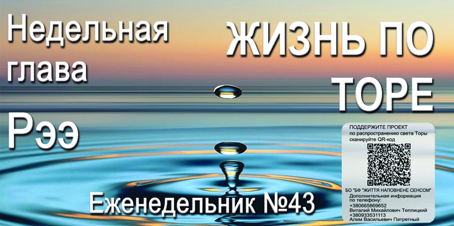 Еженедельник «Жизнь по Торе» для общин «Бней Ноах» в Украине на недельную главу «Рээ»