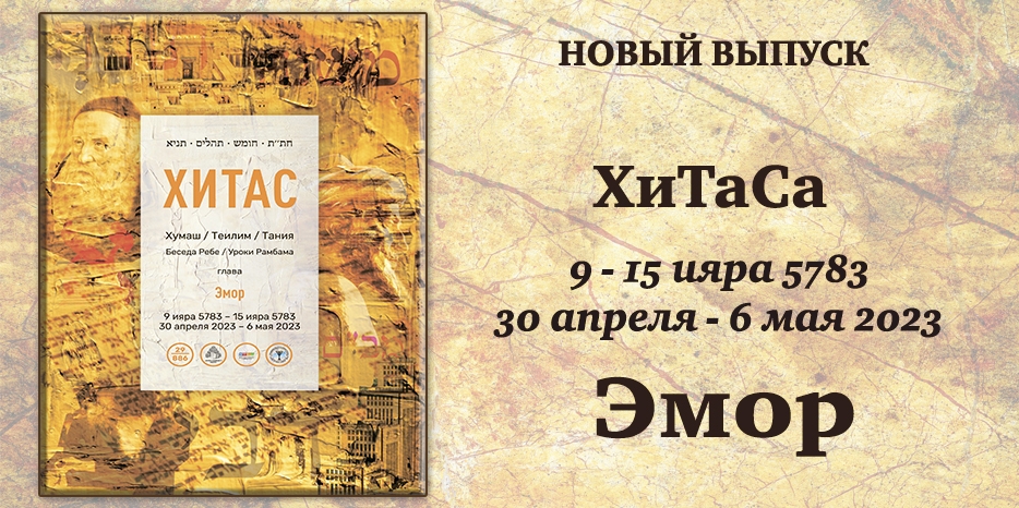 Новый выпуск ХиТаС на нашем сайте! Глава «Эмор»