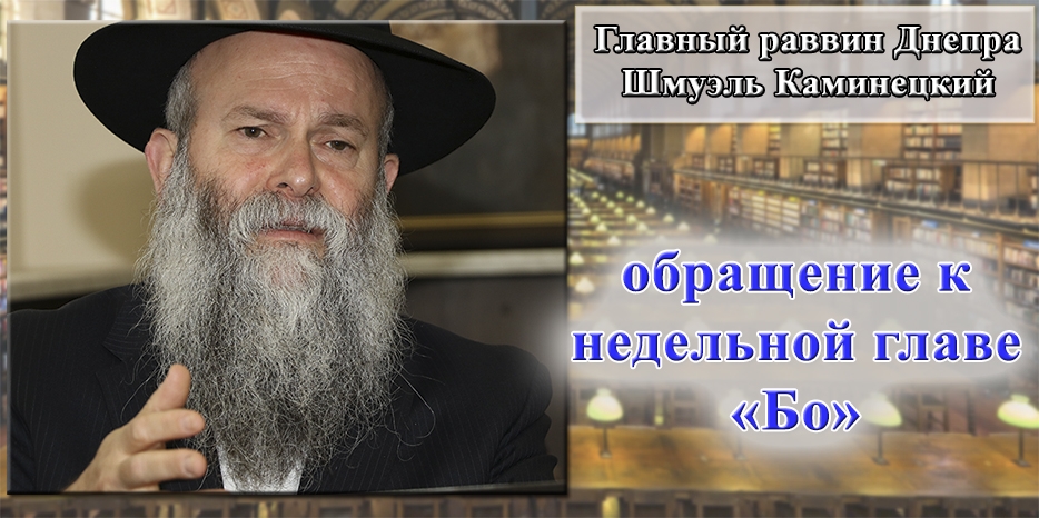 Обращение Главного раввина Днепра Шмуэля Каминецкого к недельной главе «Бо»