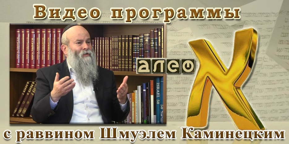 Раввин Шмуэль Каминецкий в программе «Алеф» – почему так важно