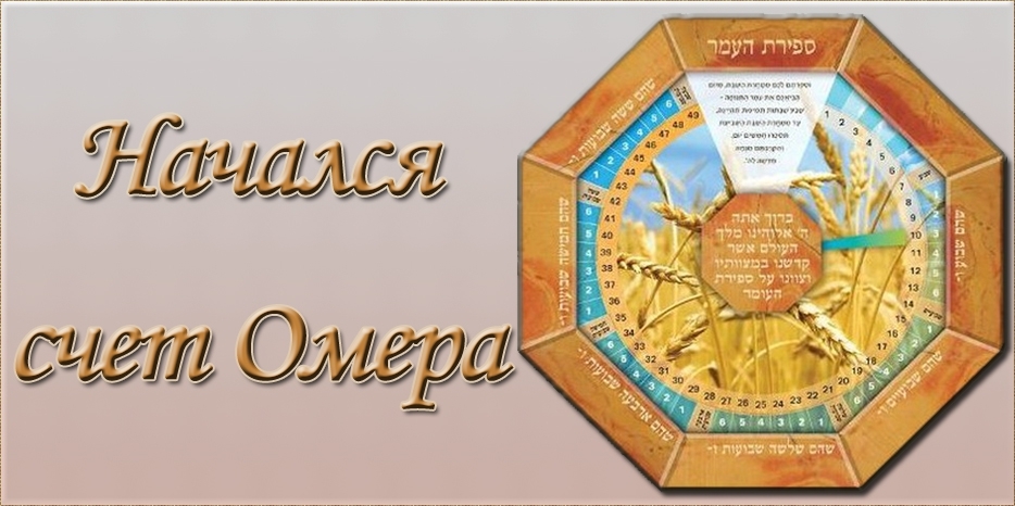 Начался счет Омера