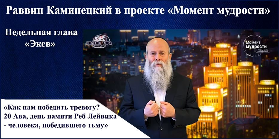 Видеоурок раввина Шмуэля Каминецкого в проекте «Момент мудрости» к недельной главе «Экев» и 20 Ава