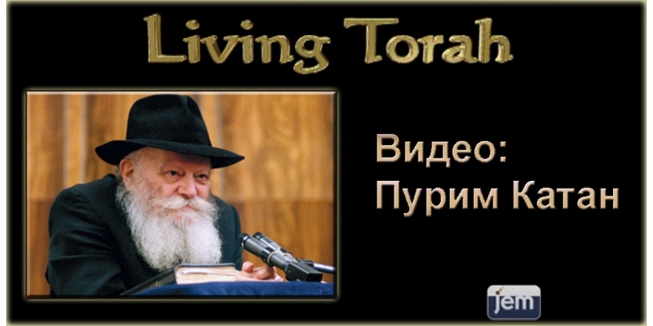 Ребе о Пуриме Катан – «Мал