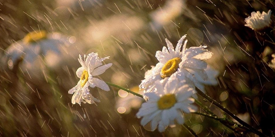 Сегодня вечером – Шмини Ацерет – праздник после праздника