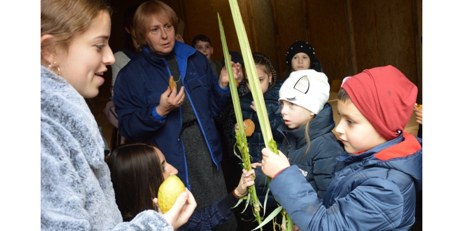 Суккот 5782: праздник для младшей школы