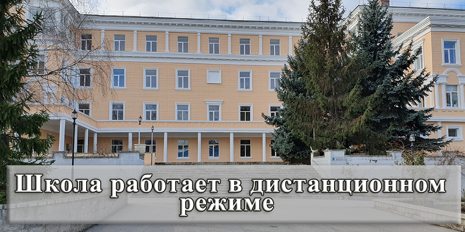 Елена Краснова: «Школа работает по новому расписанию в дистанционном режиме»