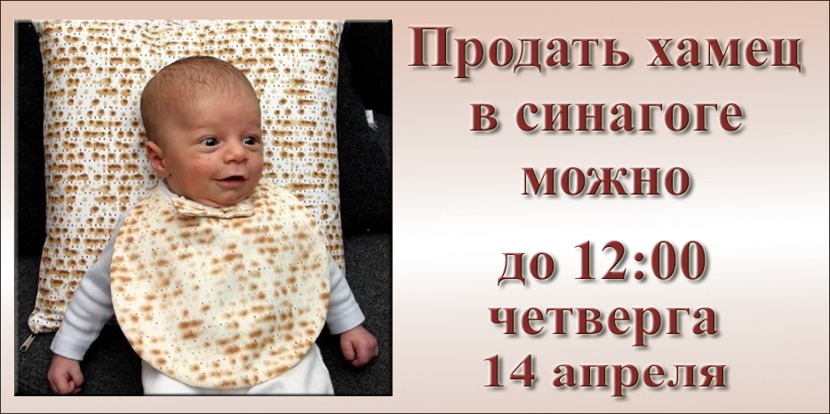 Продать хамец в Днепре нужно успеть до 12:00 четверга!