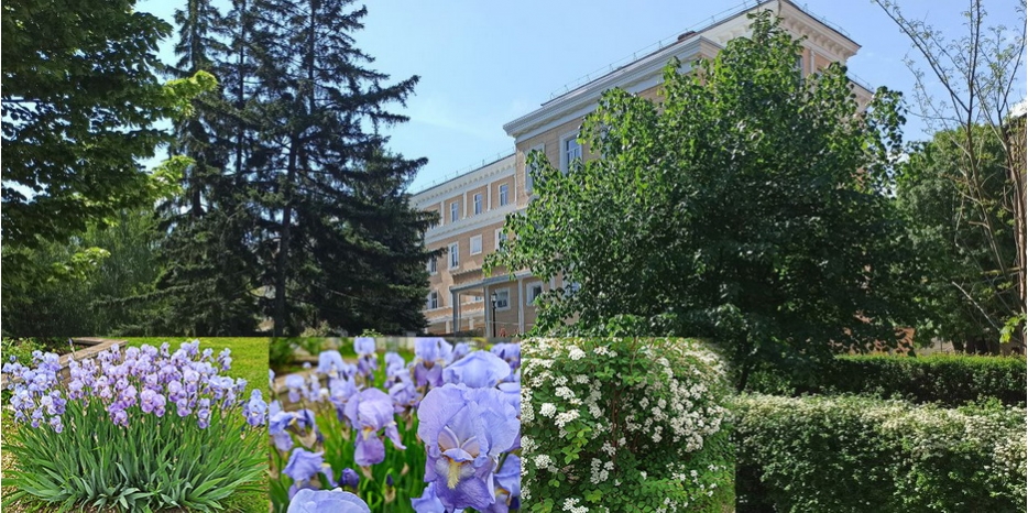 Еврейская школа продолжает облагораживать свою территорию