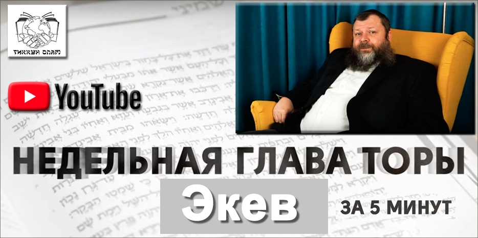 Видео: глава «Экев» в цикле уроков проекта «Недельная глава Торы за пять минут»