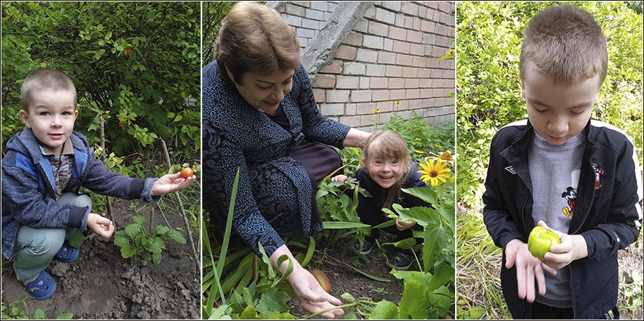 Первый сезон агропроекта Людмилы Навроцкой «Наш маленький эко-город» подошел к своему завершению