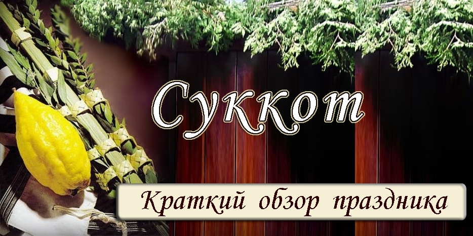 Готовимся к Суккот! Краткий обзор праздника
