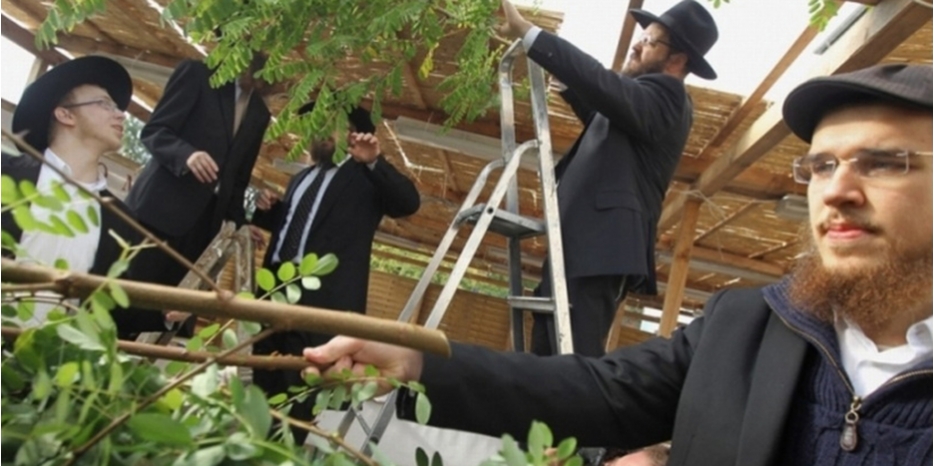 Готовимся к празднику Суккот. Как построить сукку