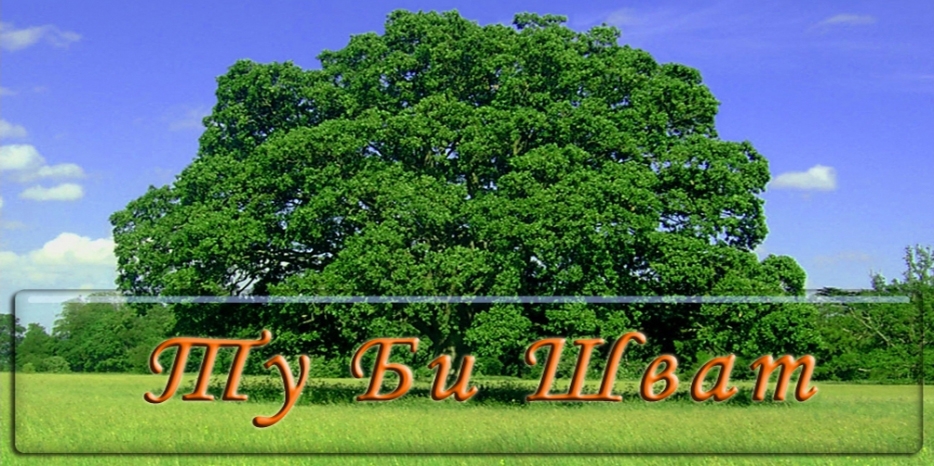 Сегодня Новый год деревьев – Ту Би Шват