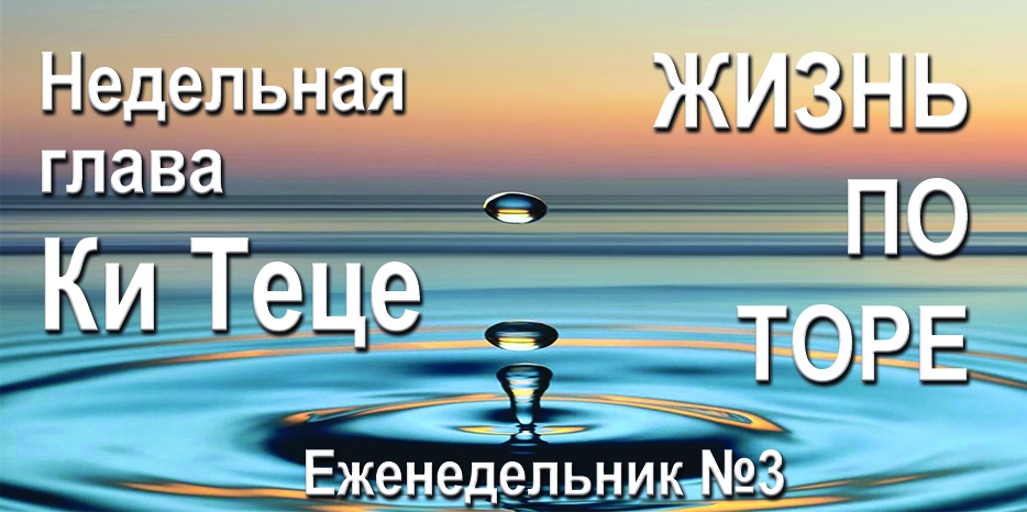 Еженедельник «Жизнь по Торе» для общин «Бней Ноах» в Украине на недельную главу «Ки Теце»