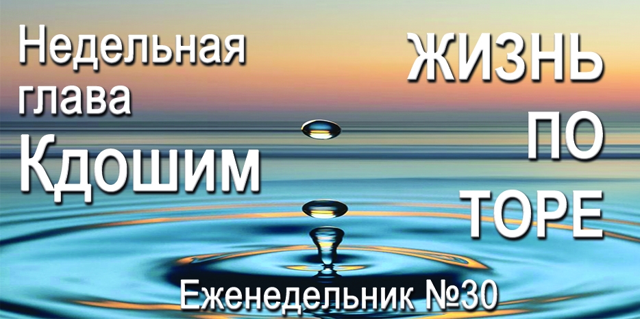 Еженедельник «Жизнь по Торе» для общин «Бней Ноах» в Украине на недельную главу «Кдошим»