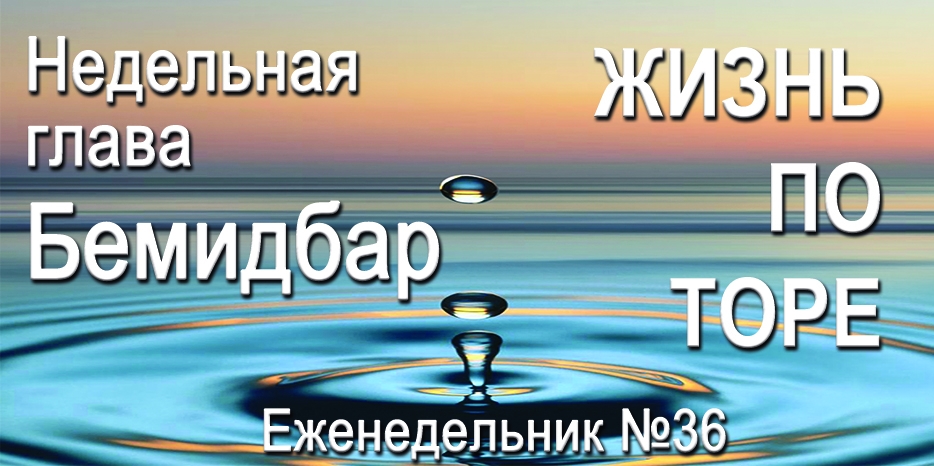 Еженедельник «Жизнь по Торе» для общин «Бней Ноах» в Украине на недельную главу «Бемидбар»