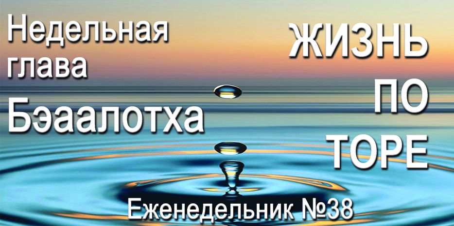 Еженедельник «Жизнь по Торе» для общин «Бней Ноах» в Украине на недельную главу «Бэаалотха»