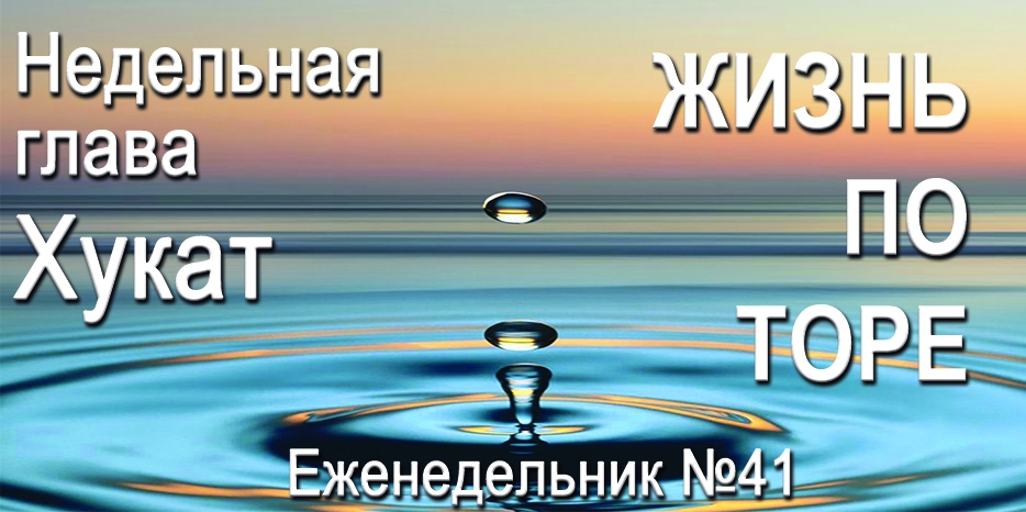 Еженедельник «Жизнь по Торе» для общин «Бней Ноах» в Украине на недельную главу «Хукат»