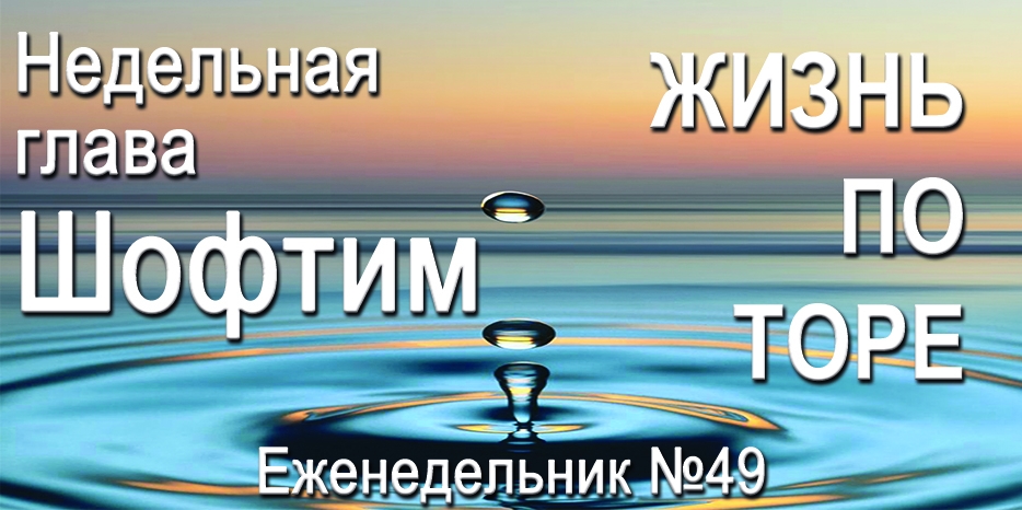 Еженедельник «Жизнь по Торе» для общин «Бней Ноах» в Украине на недельную главу «Шофтим»