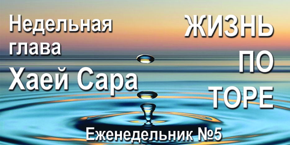 Еженедельник «Жизнь по Торе» для общин «Бней Ноах» в Украине на недельную главу «Хаей Сара»