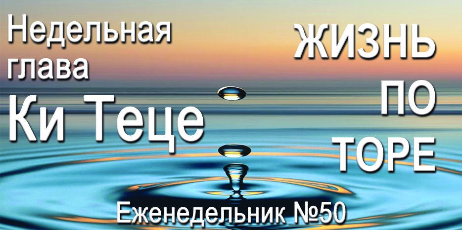 Еженедельник «Жизнь по Торе» для общин «Бней Ноах» в Украине на недельную главу «Ки Теце»