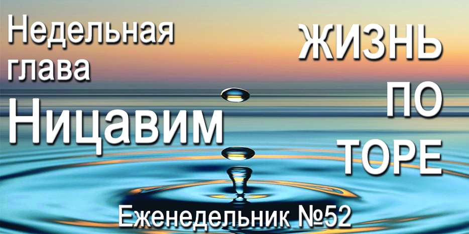 Еженедельник «Жизнь по Торе» для общин «Бней Ноах» в Украине на недельную главу «Ницавим»