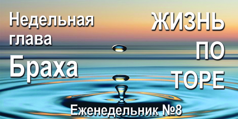Еженедельник «Жизнь по Торе» для общин «Бней Ноах» в Украине на недельную главу «Браха»