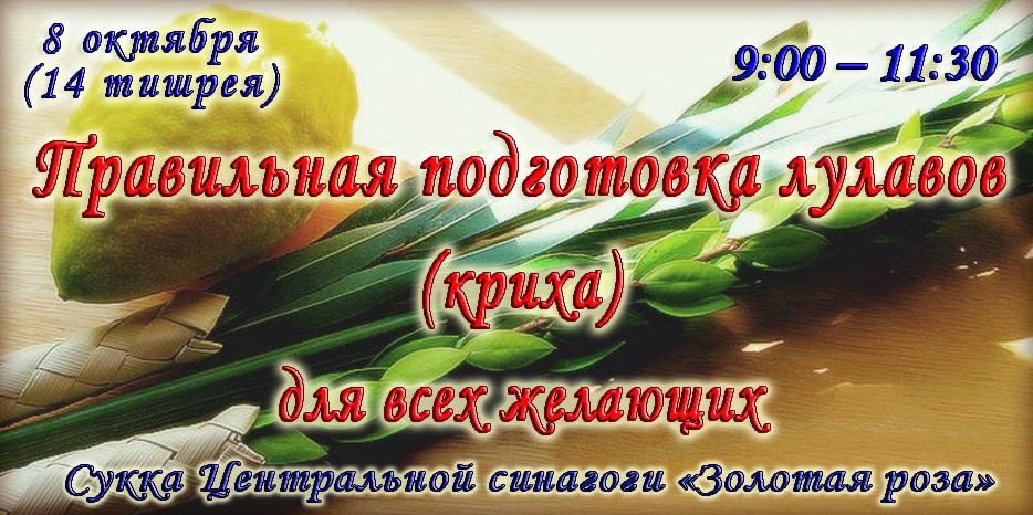 Всем желающим правильно подготовить лулав