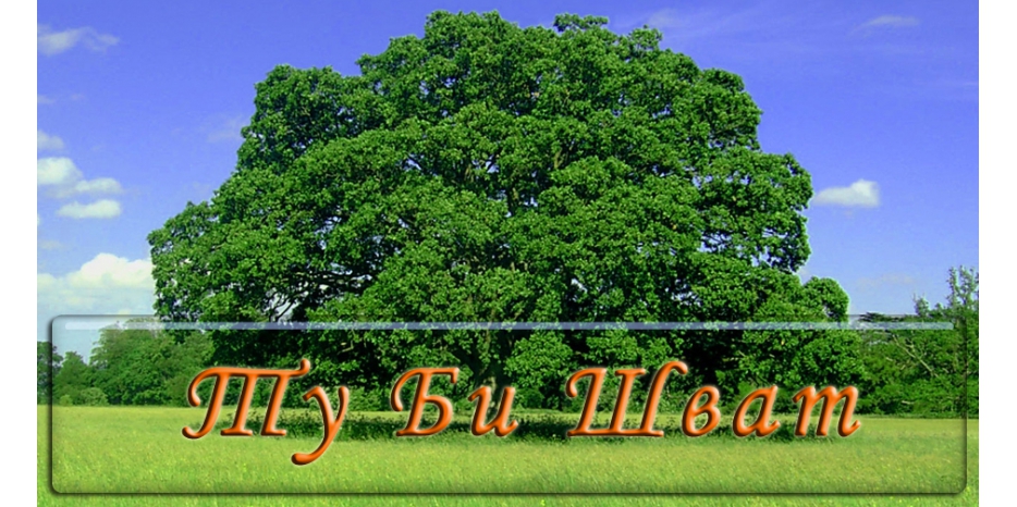 Сегодня Новый год деревьев – Ту Би Шват