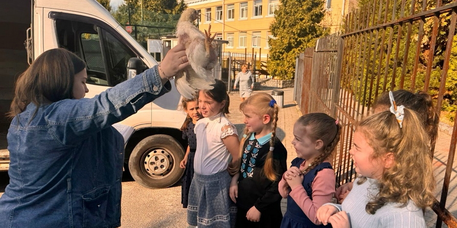 Капарот в Еврейском лицее
