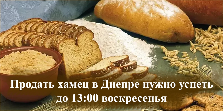 Продать хамец в Днепре нужно успеть до 13:00 воскресенья!