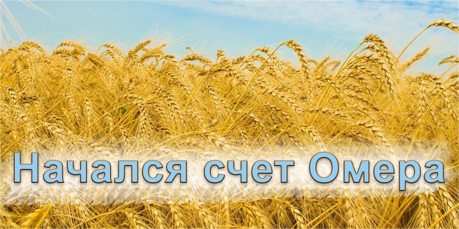 Начался счет Омера