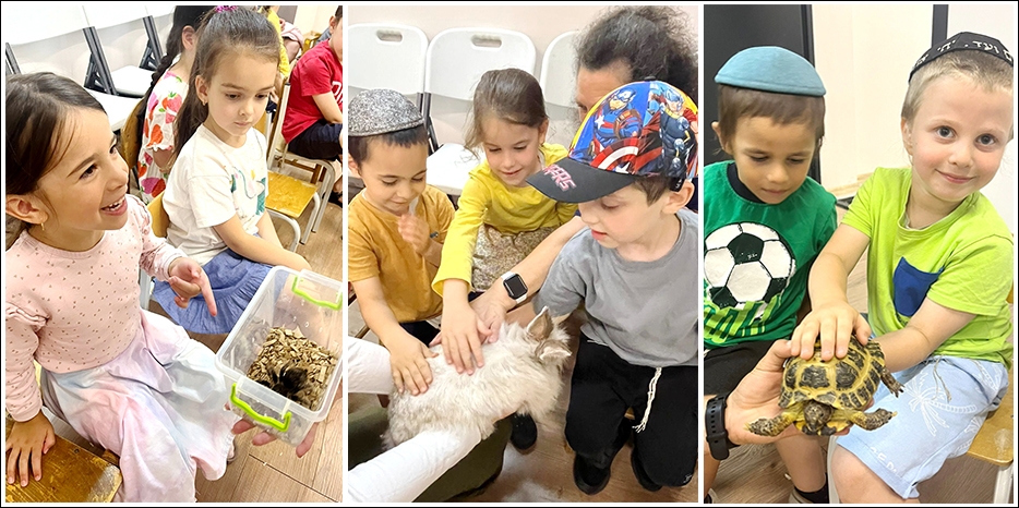 Зоопарк в «Бейт Циндлихт»