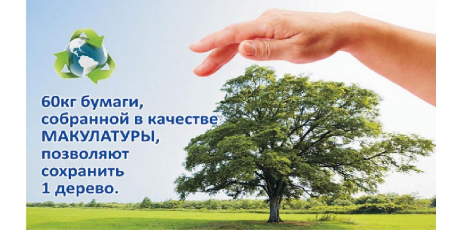 «Гилель» призывает – «Сдавайте макулатуру