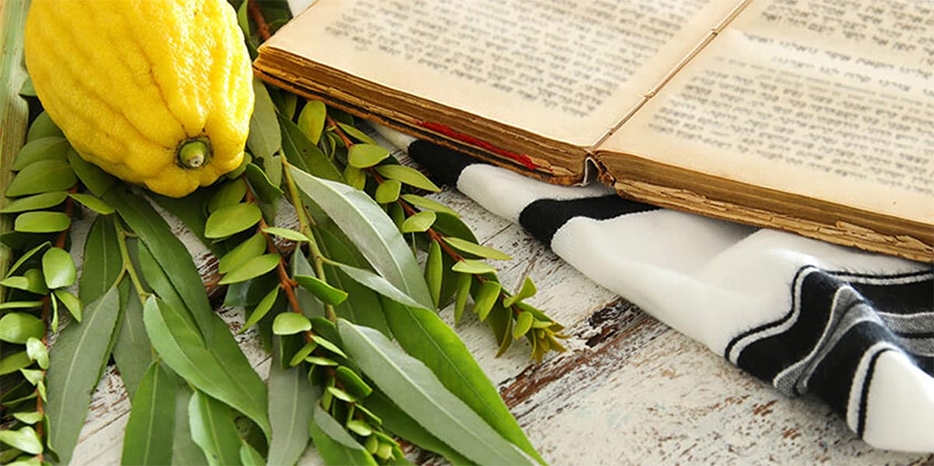 Сегодня – Гошана Раба