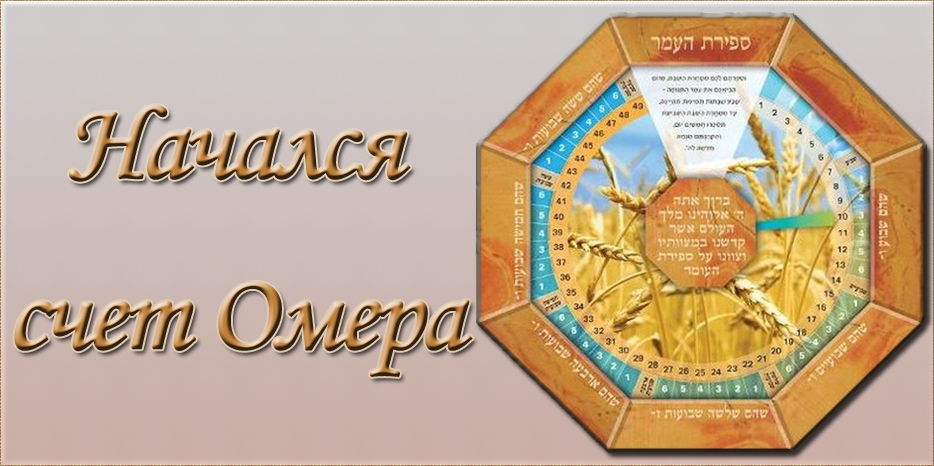 Начался счет Омера