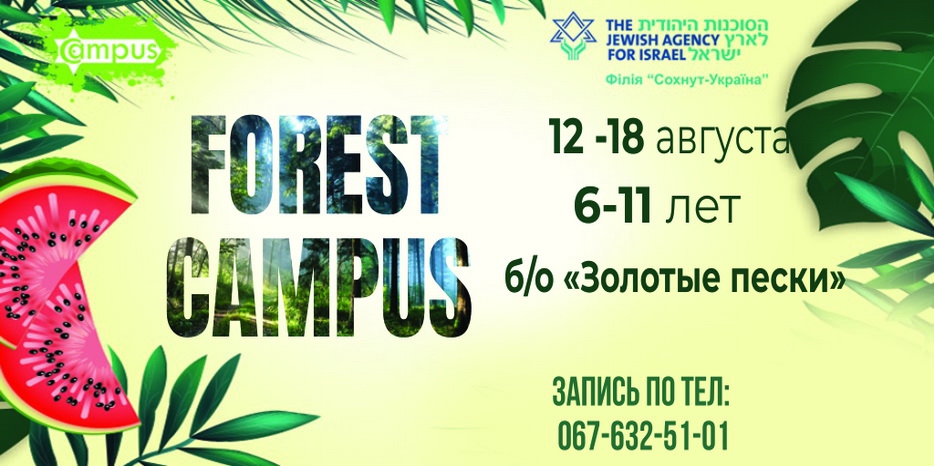 «Сохнут» зовет детей в лагерь «Forest Campus»
