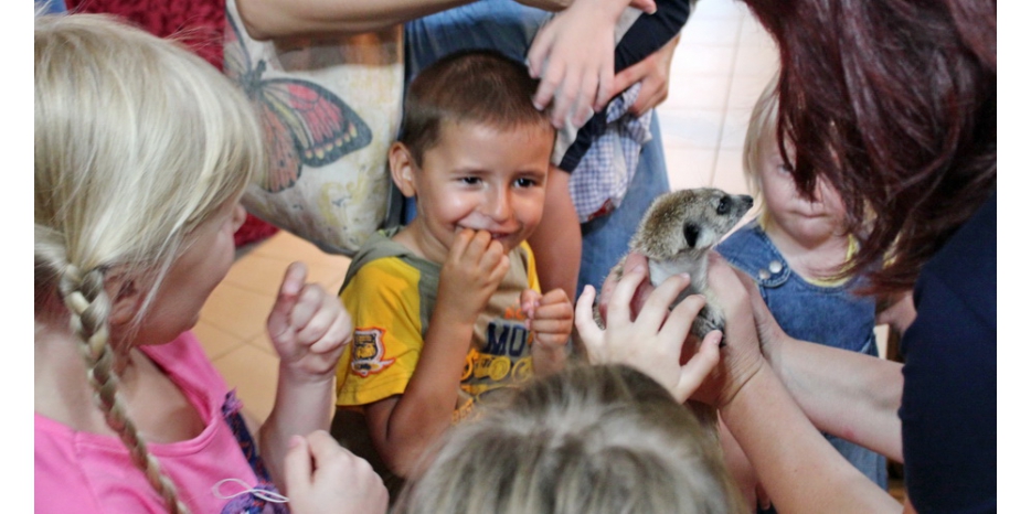 Фонд «Добре Майбутнє» организовал трогательную экскурсию для воспитанников ОРЦ «Маале»