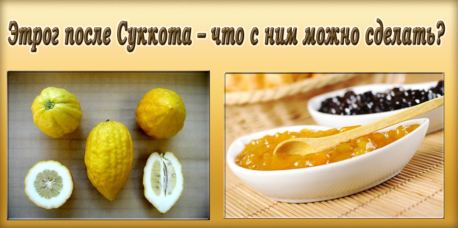 Этрог после Суккота – что с ним можно сделать