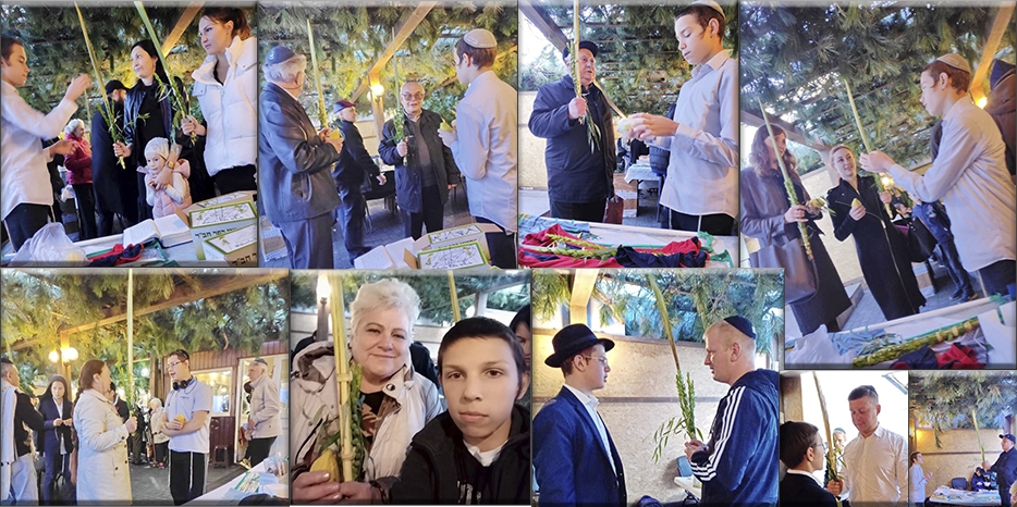 Суккот 5780: как воспитанники пансиона «Байт леБаним» помогали евреям Днепра исполнять заповеди