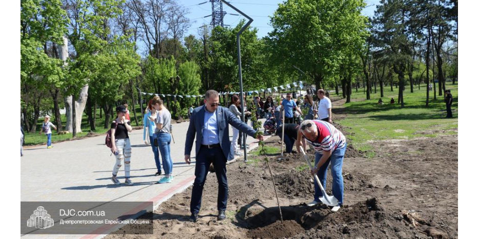 В Днепре открыта аллея Менахема Усышкина из семидесяти кленов
