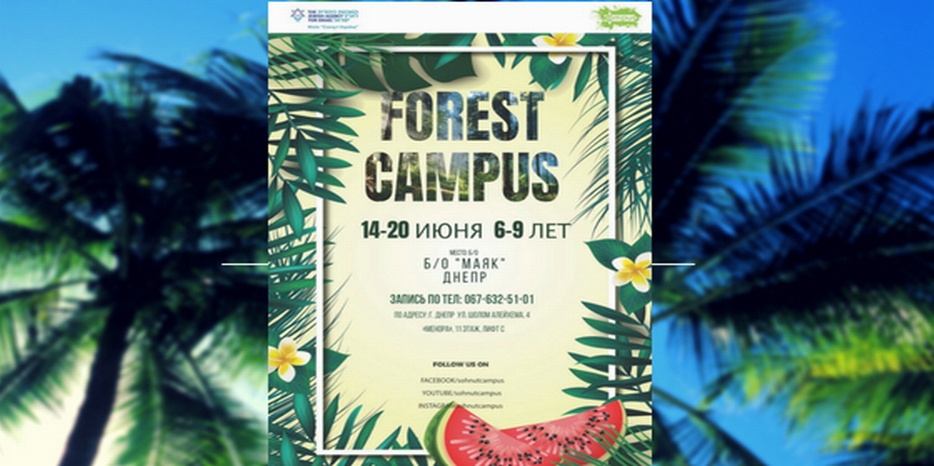 «Сохнут» зовет детей в лагерь «Forest Campus»