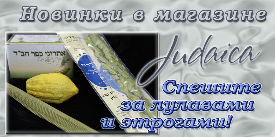 Спешите за лулавами и этрогами в магазин «Иудаика»!